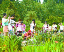 华中药用植物园吸引游客观光避暑