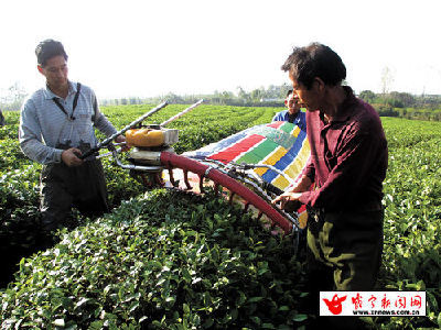咸宁咸安区：茶园管理机械化
