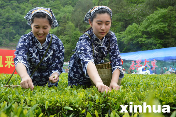 三峡“茶艺节”签约逾5亿元
