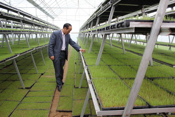 麻城：农村有了水稻育秧工厂