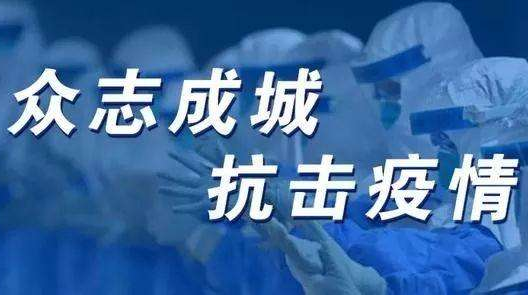 抗击疫情楚商彰显&ldquo;赤子之心&rdquo;