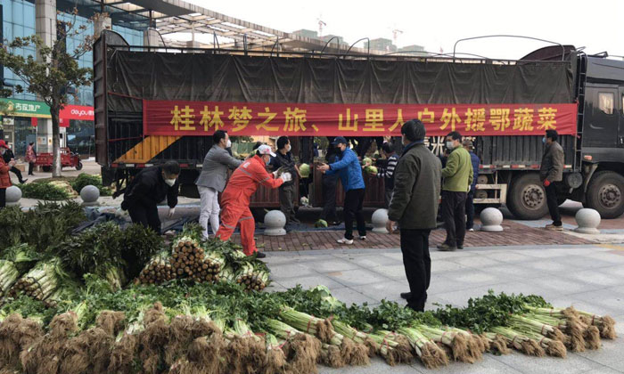 桂林3万斤新鲜蔬菜驰援武汉东西湖区