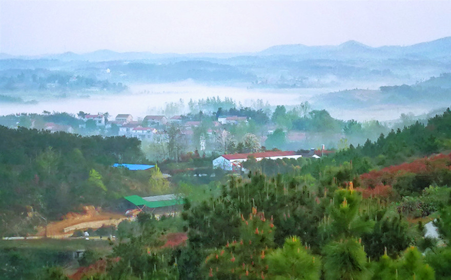 初夏陈田村 古朴宁静风景如画