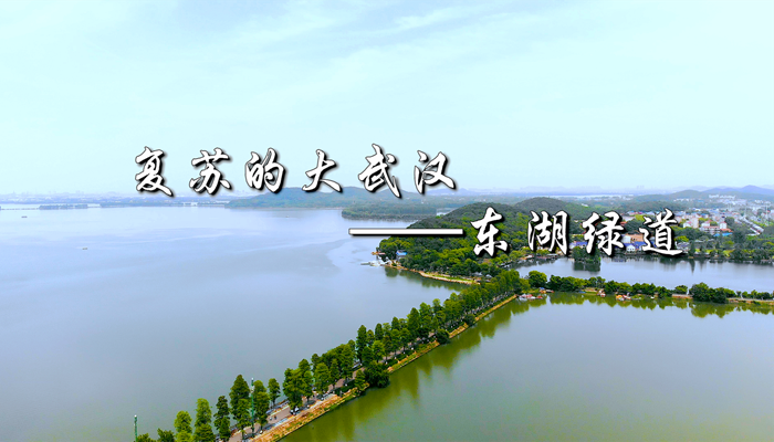 复苏的大武汉——东湖绿道