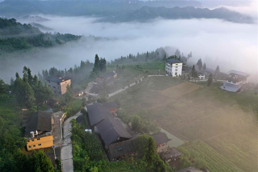 湖北利川：民宿助力乡村蝶变