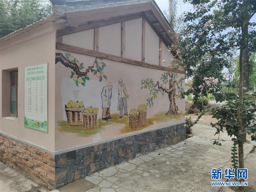 &ldquo;铜墙铁壁&rdquo;是怎样炼成的？&mdash;&mdash;小村战&ldquo;疫&rdquo;折射基层治理密码