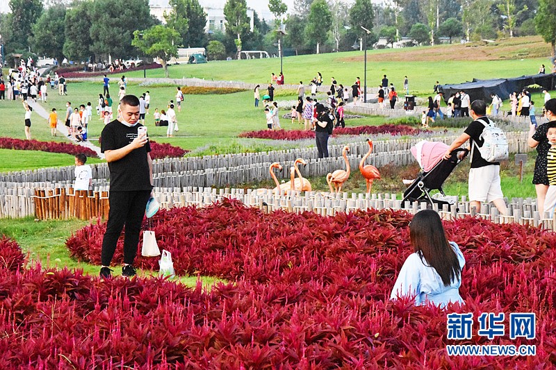 武汉&ldquo;免票游&rdquo;：舍一地门票收入 得全城复苏活力