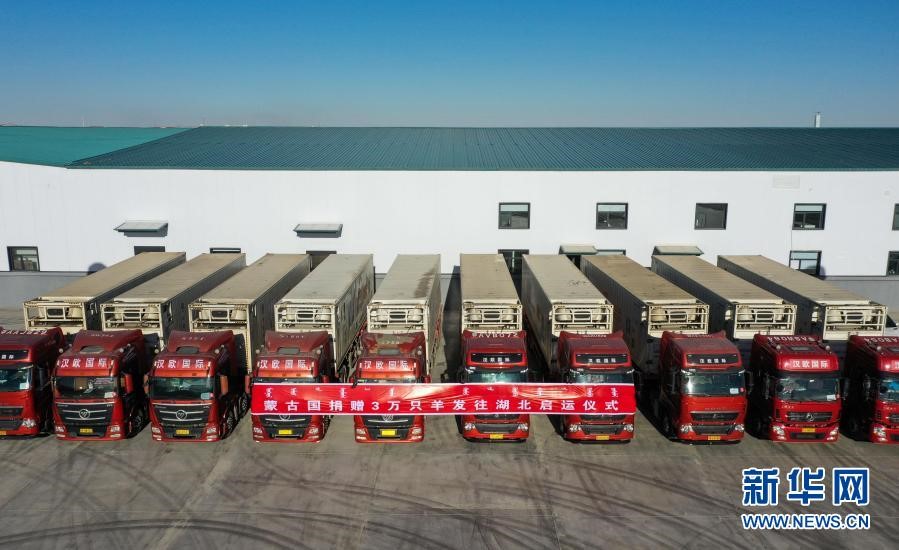 湖北专车赴二连浩特接运蒙古国3万只羊