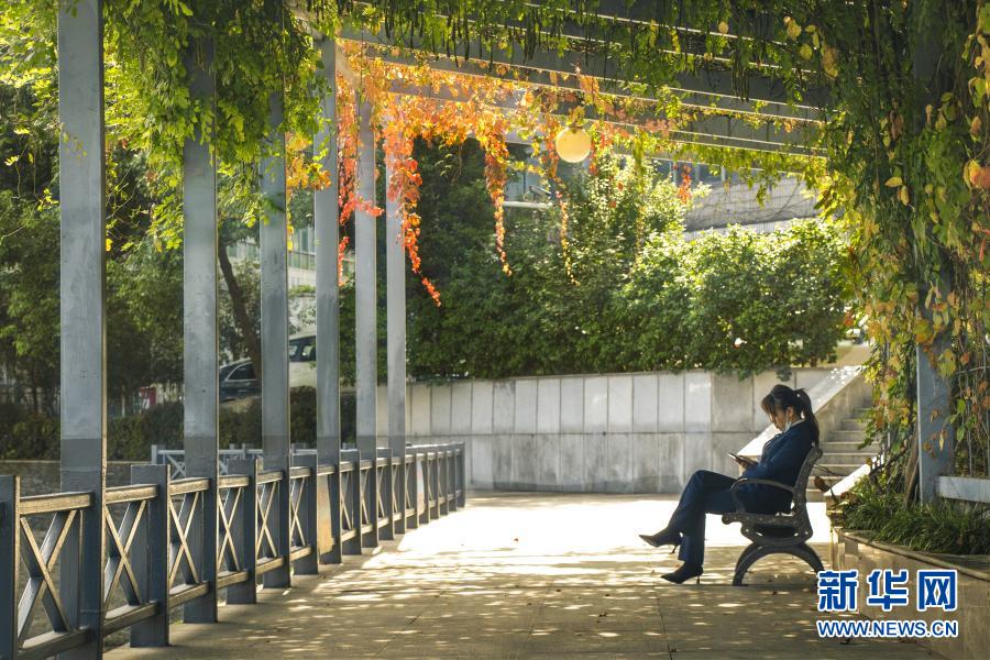 武汉：从&ldquo;见缝插楼&rdquo;到&ldquo;见缝播绿&rdquo;