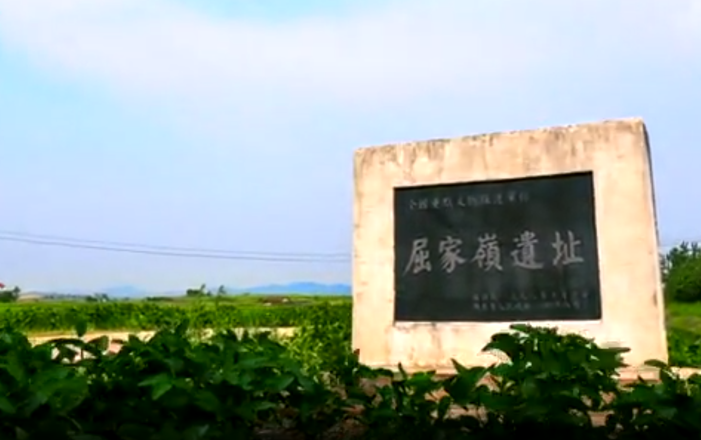 湖北屈家岭遗址发现长江中游最早旱作物粟遗存