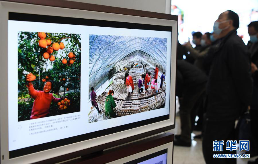 湖北省易地扶贫搬迁成就展举行