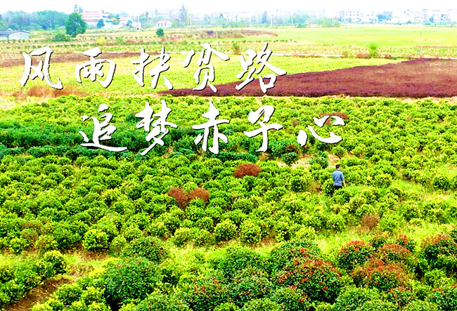 风雨扶贫路 追梦赤子心