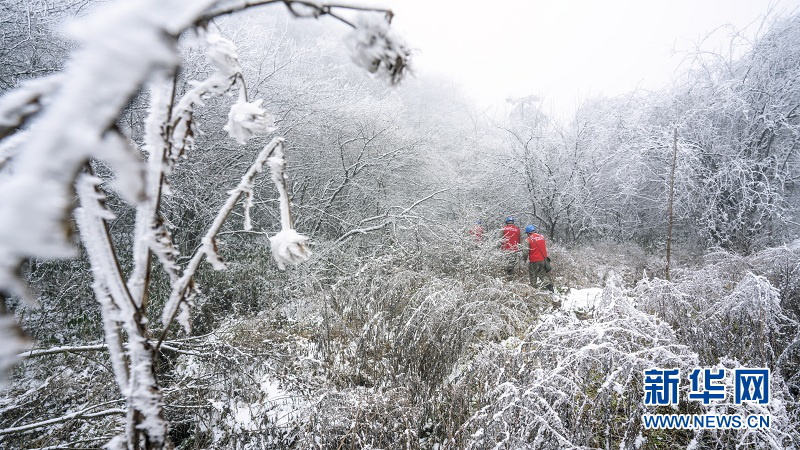 冰雪世界巡线人：每天一个&ldquo;半程马拉松&rdquo;