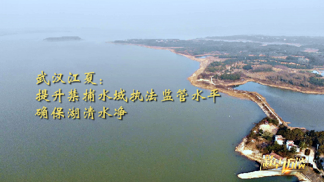 武汉江夏：多措并举开展禁捕退捕保障湖清水净