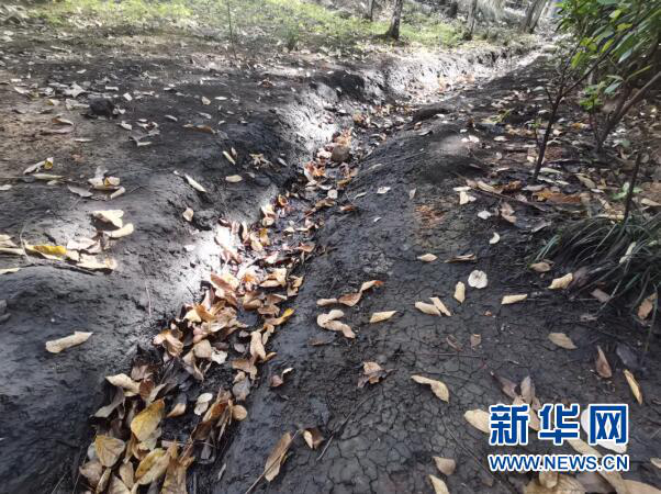 一标准桶废矿物油能污染近3.5平方公里水面&mdash;&mdash;地下&ldquo;毒油&rdquo;去哪了？