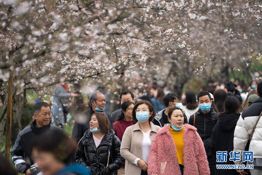 春回英雄城，共赴樱花约&mdash;&mdash;援鄂医护代表重返武汉赏樱记