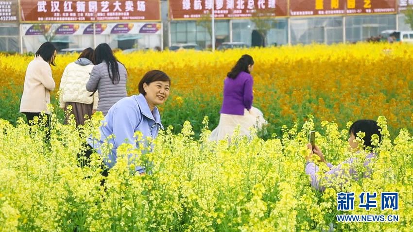 春暖花开，荆楚大地劲吹赏花风