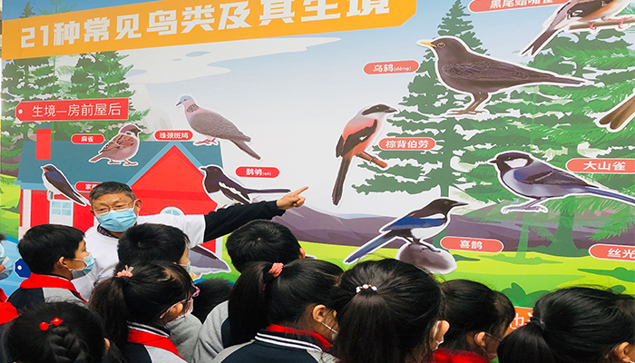 武汉2021年“爱鸟周”上线！