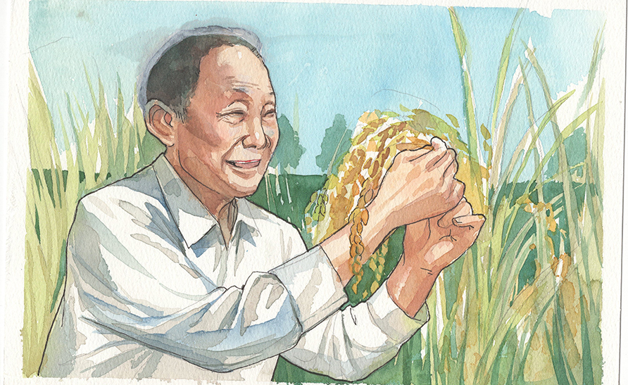【画说百年辉煌】改变中国改变世界的神奇种子