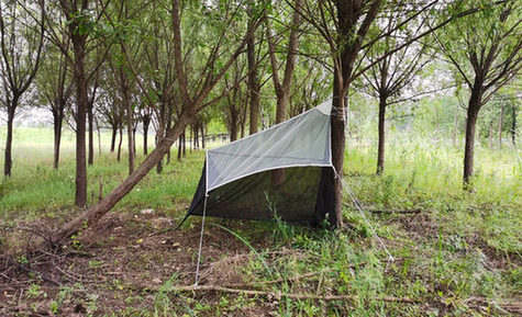 调查生物多样性 研究人员在天兴洲上搭“帐篷”专门吸引虫子