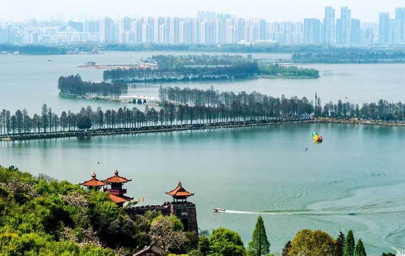 武汉地方立法保护湿地12年 擦亮“湿地之城”品牌