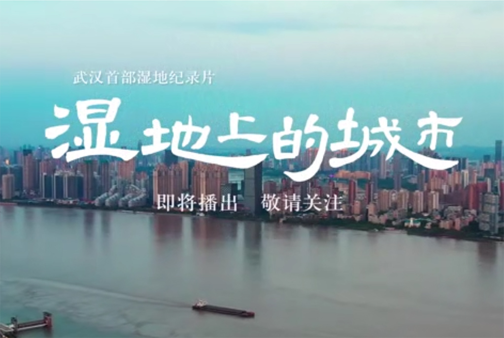 武汉首部湿地纪录片《湿地上的城市》将在国庆期间发布