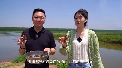 去当阳，吃美味&ldquo;虾&rdquo;肴